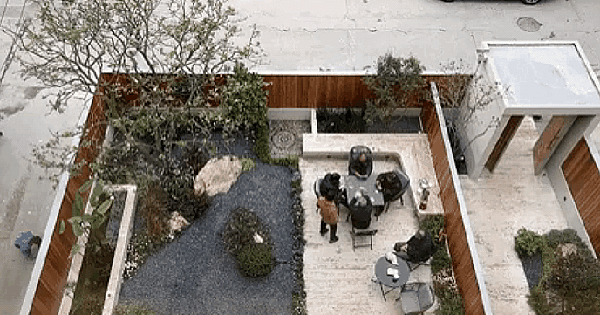 Videosharpened-17701758047891289831466-11-0-372-690-crop-1770175834659302514688-gif-1